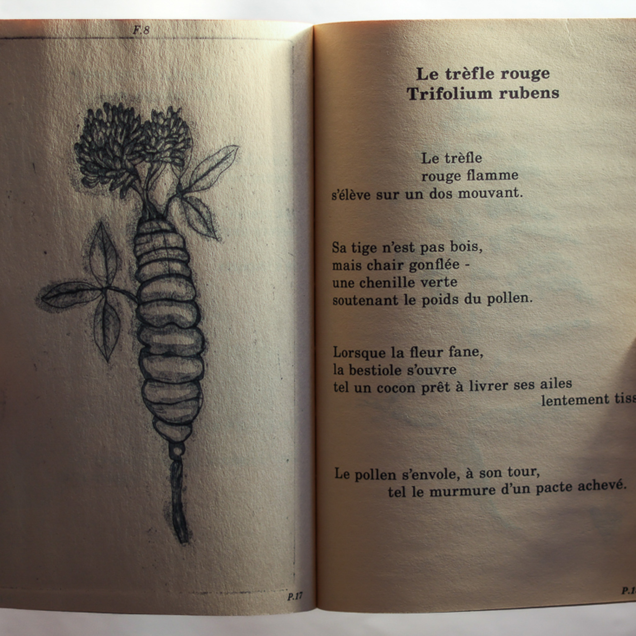 Titre de l'œuvre 1